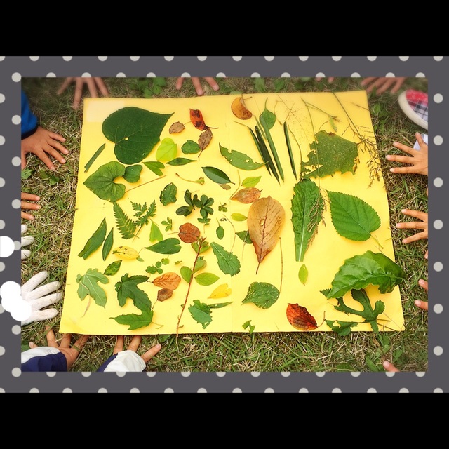 【みんなの投稿】葉っぱ 【みんなの投稿】葉っぱ