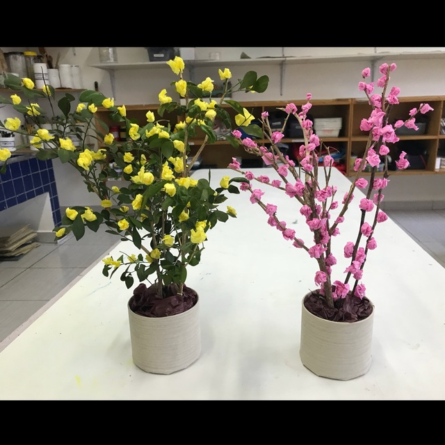【みんなの投稿】ひな壇のお花 〜桃の花と、黄色い花〜 【みんなの投稿】ひな壇のお花 〜桃の花と、黄色い花〜