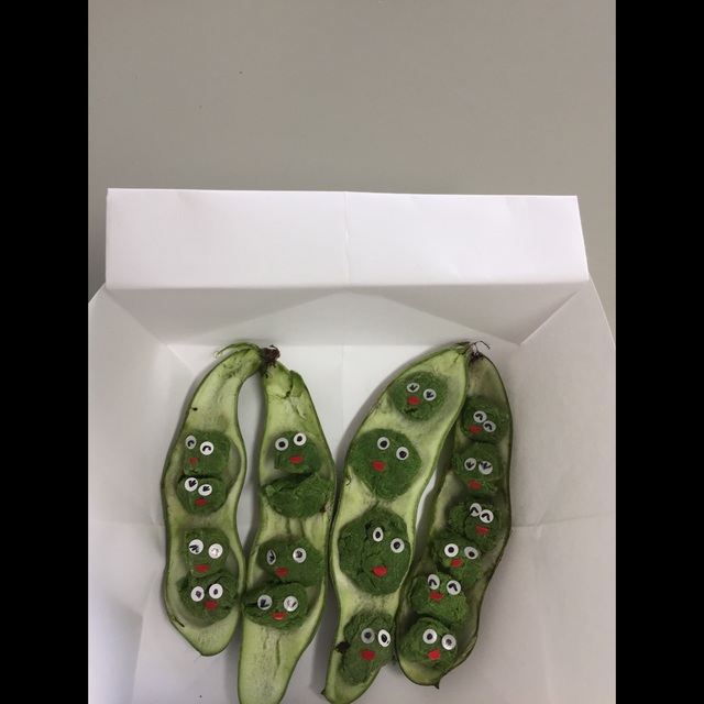 【みんなの投稿】そら豆のさや取りをした後のさやで製作! 【みんなの投稿】そら豆のさや取りをした後のさやで製作!