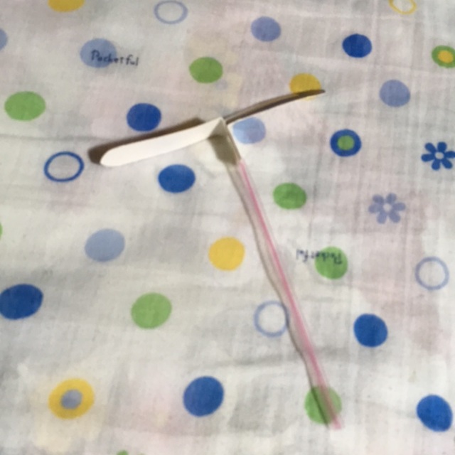 【みんなの投稿】【牛乳パックとんぼ】 【みんなの投稿】【牛乳パックとんぼ】