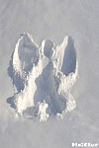 雪に天使を作った写真