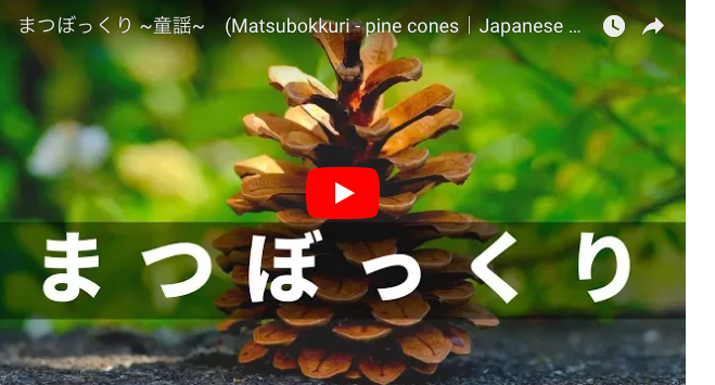 まつぼっくり
