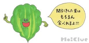 mix_yasai_r10_c4_s1 間引きした芽は食べられるよ、と言っている若葉のイラスト