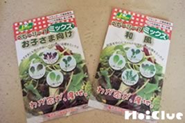 写真1 袋に入った野菜の種の写真