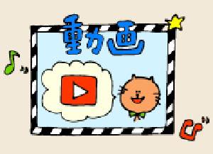 動画