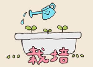 栽培