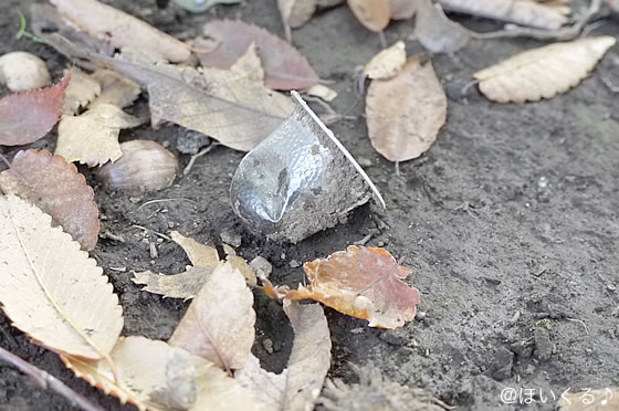 カブトムシゼリーの写真