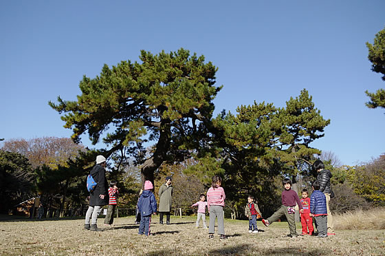 <一本松のふもと>