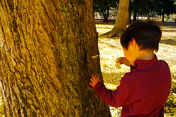 子どもが遊んでいる様子の写真