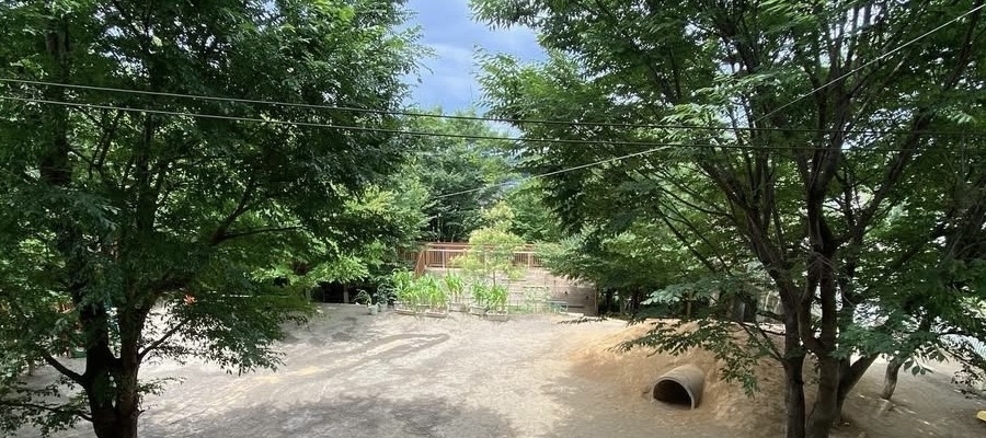 ゆうゆうのもり幼保園