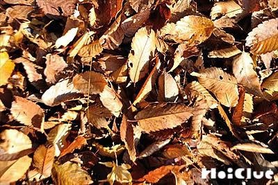 大地の窓~自然と一体になれるあったか遊び~ 大地の窓~自然と一体になれるあったか遊び~