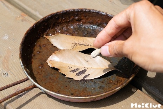 【自然遊び】ナガミヒナゲシでペッパーステーキ!?〜素材/ ナガミヒナゲシの実〜 【自然遊び】ナガミヒナゲシでペッパーステーキ!?〜素材/ ナガミヒナゲシの実〜