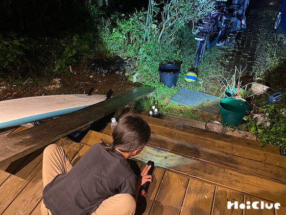 【実験コラム】ミシン目のように見える雨!?LED懐中電灯で雨を照らしてみよう!〜素材/LEDの懐中電灯〜 【実験コラム】ミシン目のように見える雨!?LED懐中電灯で雨を照らしてみよう!〜素材/LEDの懐中電灯〜