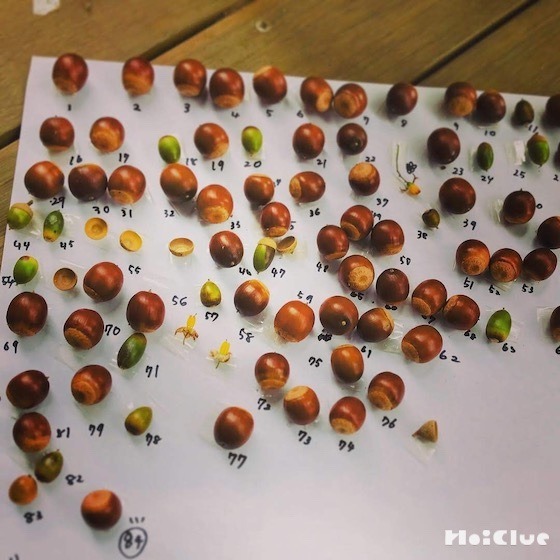 \スタッフトーク/“試してみる”から色んなことが始まる \スタッフトーク/“試してみる”から色んなことが始まる