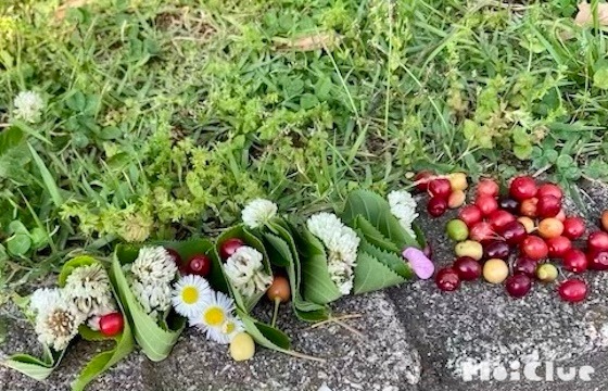 桜の葉っぱでお菓子作り？〜彩り豊かな自然遊び〜