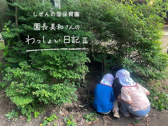しぜんの国保育園 園長美和さんのわっしょい日記 II(第三回)「今日も子どもの傍に」 しぜんの国保育園 園長美和さんのわっしょい日記 II(第三回)「今日も子どもの傍に」
