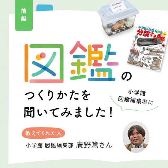 「図鑑のつくりかた」を小学館図鑑編集者に聞いてみました! 「図鑑のつくりかた」を小学館図鑑編集者に聞いてみました!