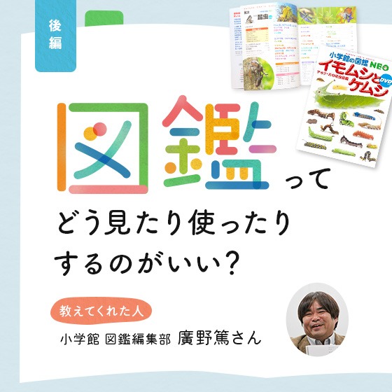 図鑑ってどう見たり使ったりするのがいい?ー 図鑑編集者に教わる、図鑑の楽しみ方。 図鑑ってどう見たり使ったりするのがいい?ー 図鑑編集者に教わる、図鑑の楽しみ方。