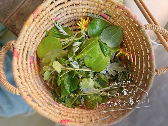 春のご馳走。いただきます、食べられる野草! :うみのこのとって食ってつながる暮らしVol.3 春のご馳走。いただきます、食べられる野草! :うみのこのとって食ってつながる暮らしVol.3