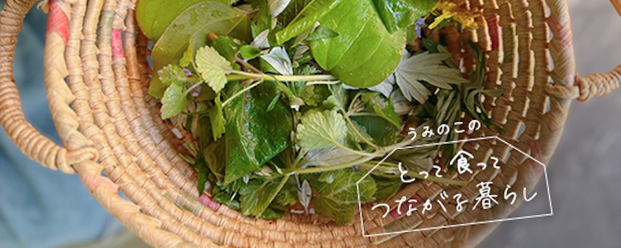 うみのこのとって食ってつながる暮らし