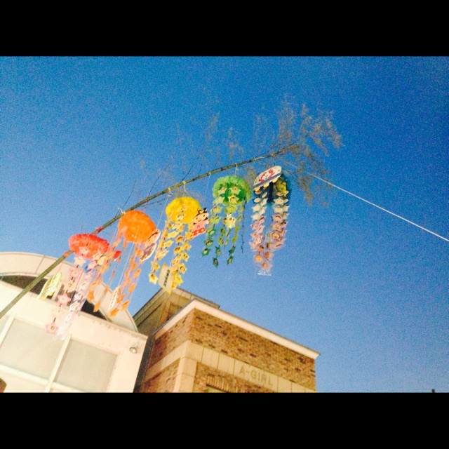 【みんなの投稿】七夕　笹かざり