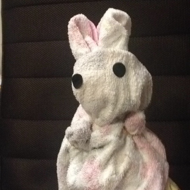 【みんなの投稿】うさぎ