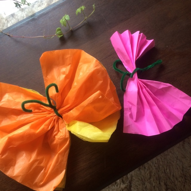 【みんなの投稿】ちょうちょ