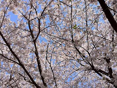 コドモコトノハ「せんせいも、かれーすきだって。せいこといっしょだったよ」（せいこ６歳）