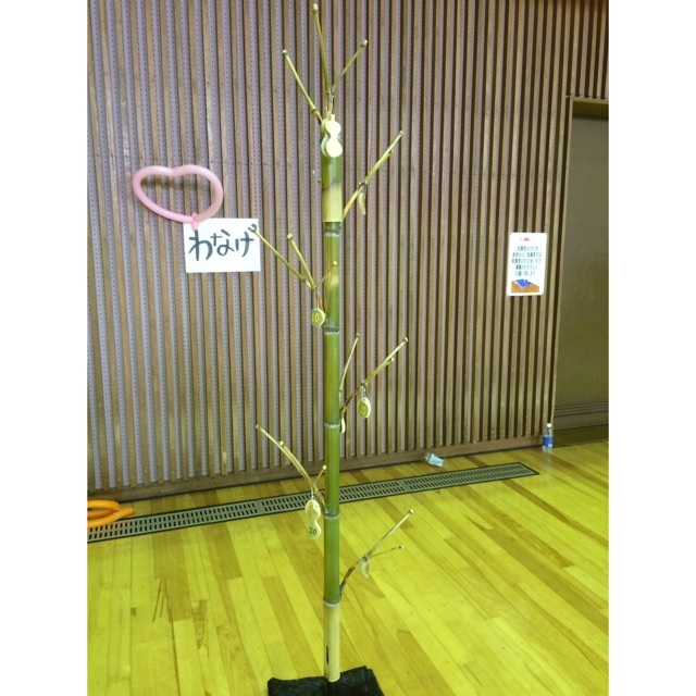 【みんなの投稿】立体輪投げ