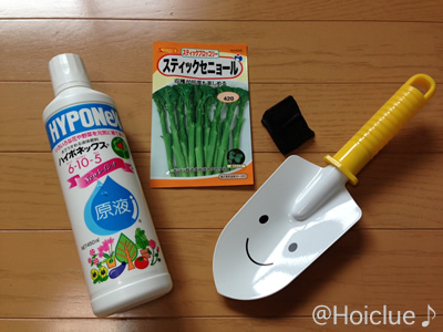 スティックセニョール〜夏からでも育てられる！おもしろ野菜〜