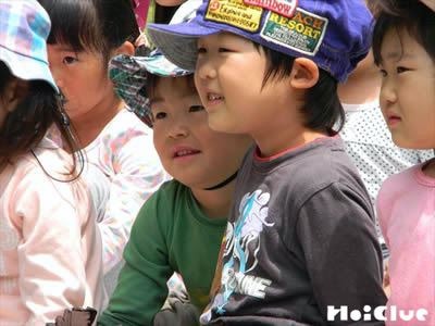 ノーズ～生きものについての興味が広がるあそび～