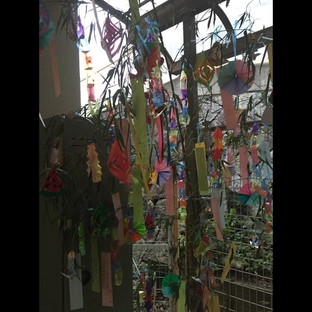 【みんなの投稿】七夕　笹かざり