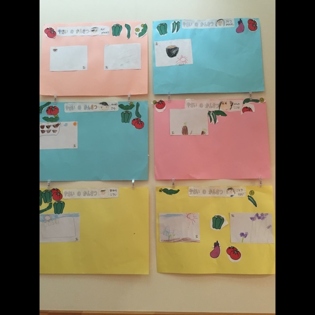 【みんなの投稿】やさいのかんさつ