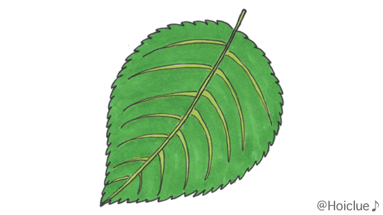 葉っぱあそび〜身近な自然に触れて楽しめる5つの遊び〜