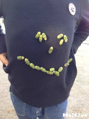 くっつき虫〜秋が深まる季節により楽しめるおもしろ自然遊び〜