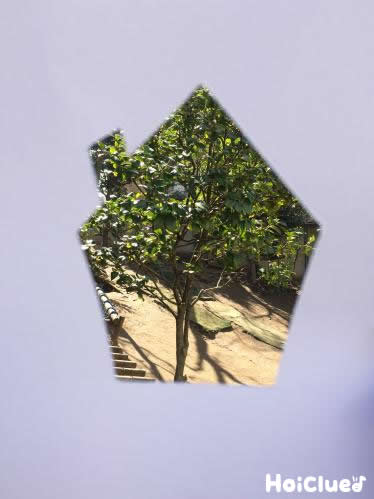 なにが見える！？いろいろ景色あそび〜いろんな景色を切り取ってみよう！〜