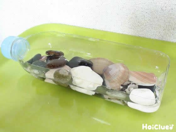 思い出アクアリウム〜ペットボトルと海の自然で楽しむ製作遊び〜