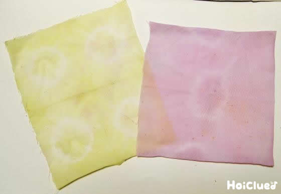 お花で染め物〜火を使わずに楽しめる染色あそび〜