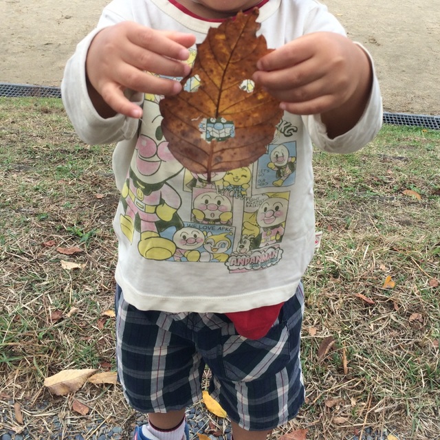 【みんなの投稿】【おばけ葉っぱ】