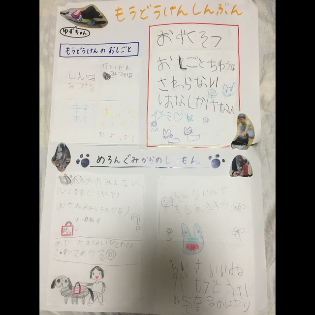 【みんなの投稿】もうどうけんしんぶん