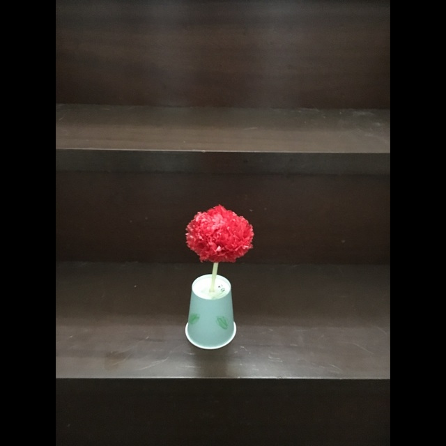 【みんなの投稿】母の日の製作