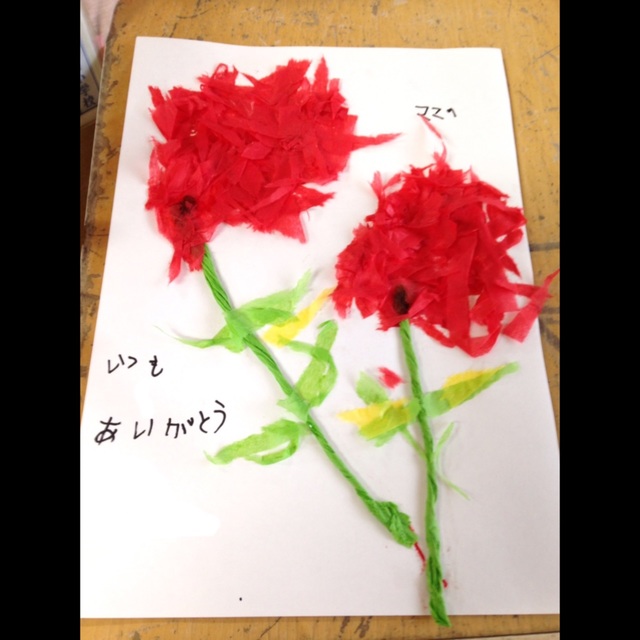 【みんなの投稿】【母の日のカーネーション】