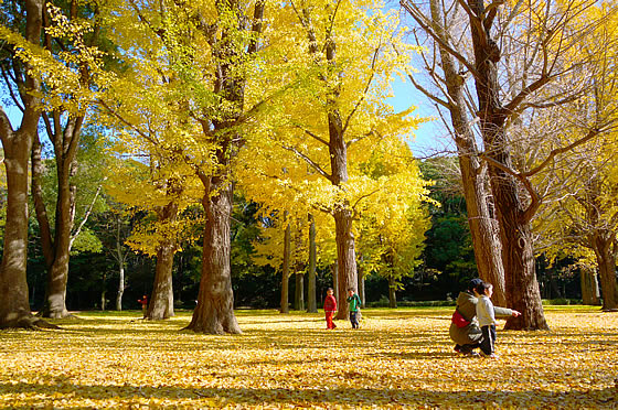 「親が子どもを預け合う“自主保育”」ー原宿おひさまの会(東京都 渋谷区)