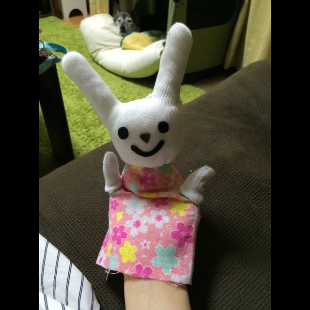【みんなの投稿】【パペットラビット】