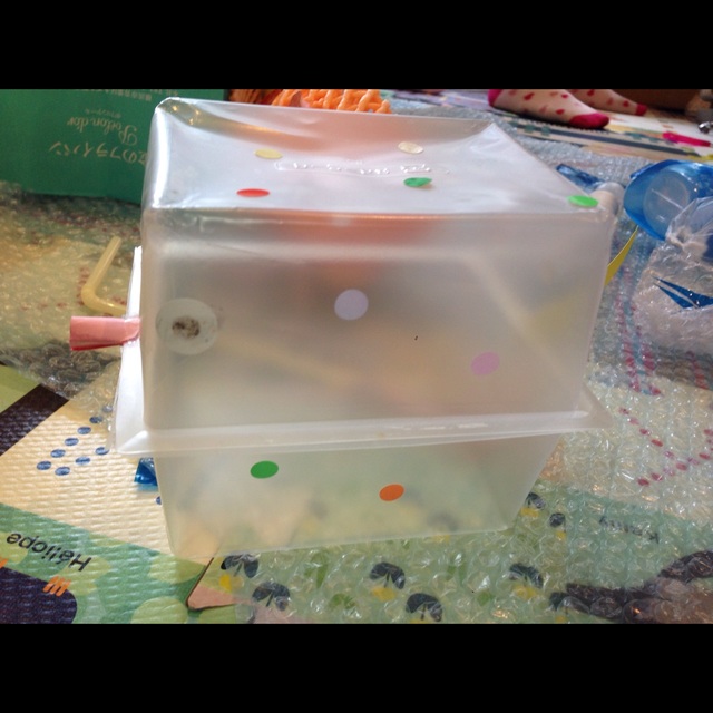 【みんなの投稿】ウ〜マンボウ！！