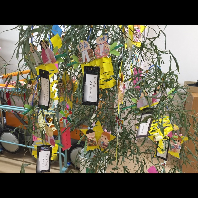 【みんなの投稿】七夕 年中年長