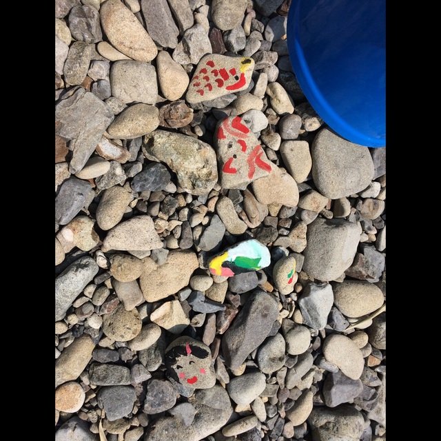 【みんなの投稿】河原の石にお絵描き