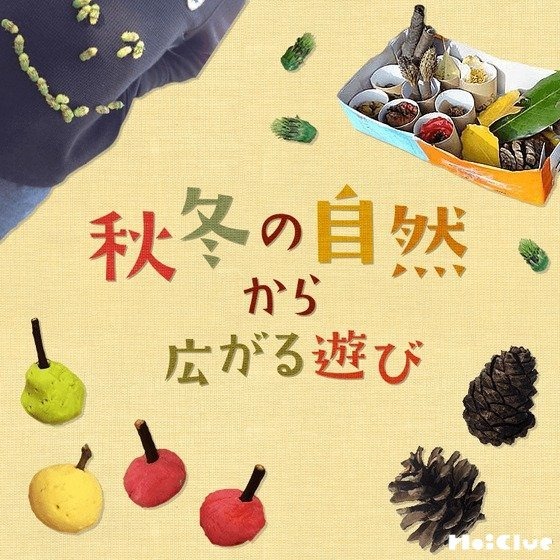秋冬の自然から広がる遊び〜自然を通した実験遊びや製作遊びアイデア〜