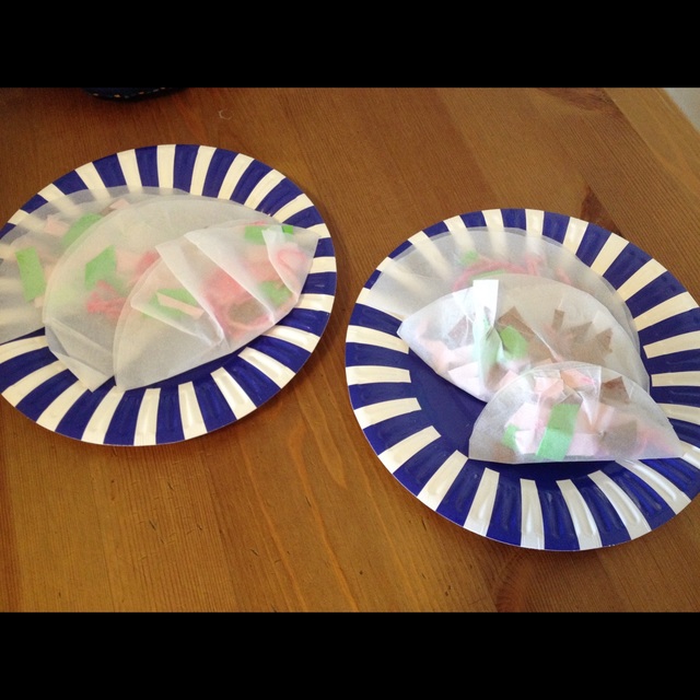 【みんなの投稿】写し紙の皮で作った餃子