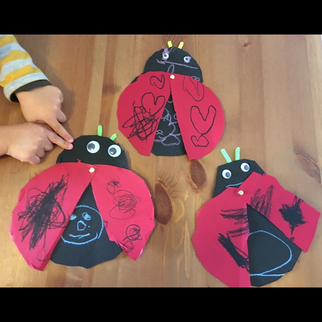 【みんなの投稿】てんとう虫